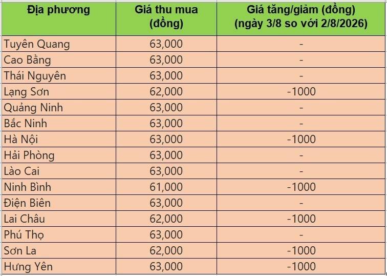 giá heo hơi