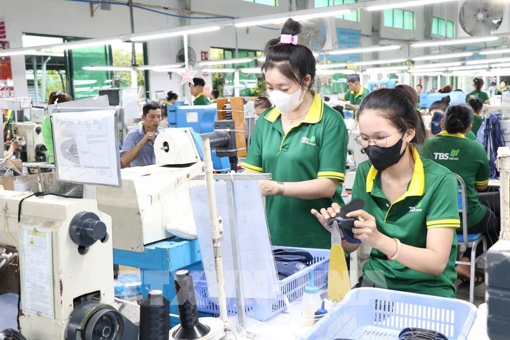 Sản xuất giày xuất khẩu tại Công ty Cổ phần Đầu tư và Sản xuất công nghiệp Lefaso Trà Vinh, xã Trà Cú, tỉnh Vĩnh Long. Ảnh: Phúc Sơn - TTXVN