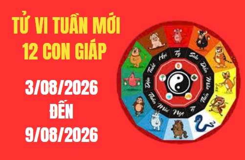 Tử vi tuần mới 12 con giáp từ 3/8 – 9/8/2026: Tuổi Tý sự nghiệp thăng hoa, tuổi Mùi cẩn trọng vận hạn Thái Tuế