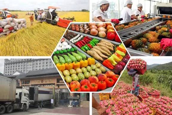 EU, Mỹ, Nhật Bản đồng loạt siết quy định SPS, doanh nghiệp xuất khẩu cần lưu ý gì?