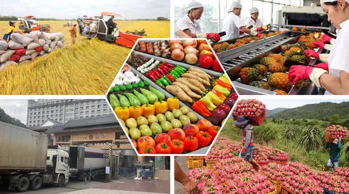 EU, Mỹ, Nhật Bản đồng loạt siết quy định SPS, doanh nghiệp xuất khẩu cần lưu ý gì?