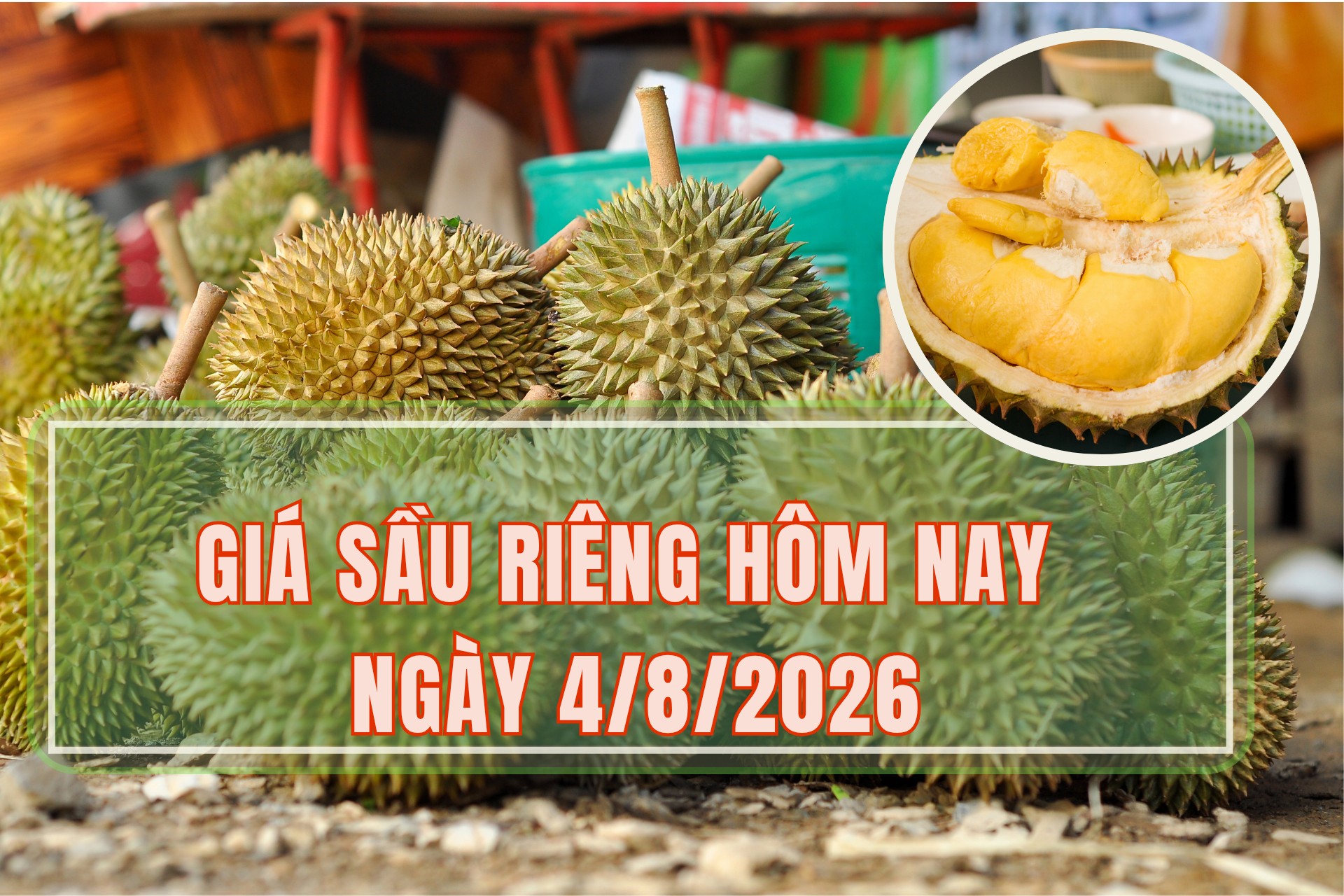 Giá sầu riêng hôm nay 4/8: Sầu riêng Thái loại VIP giảm giá nhẹ