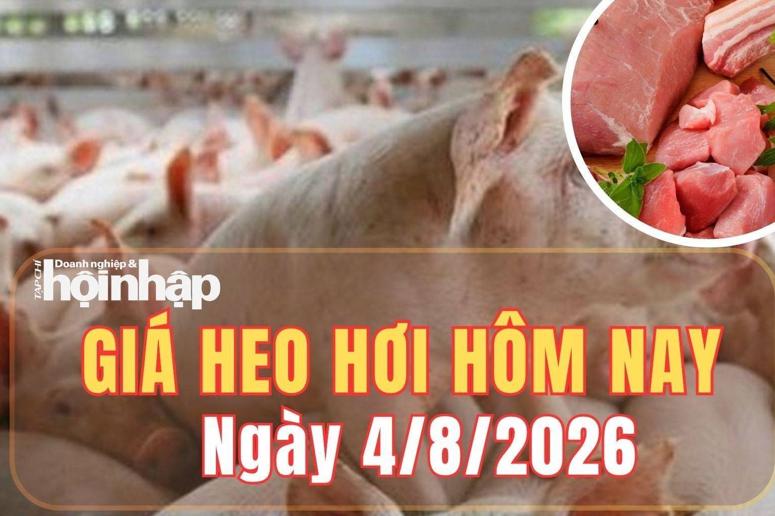 Giá heo hơi hôm nay 4/8/2026: Giá heo hơi tiếp tục giảm ở cả ba miền