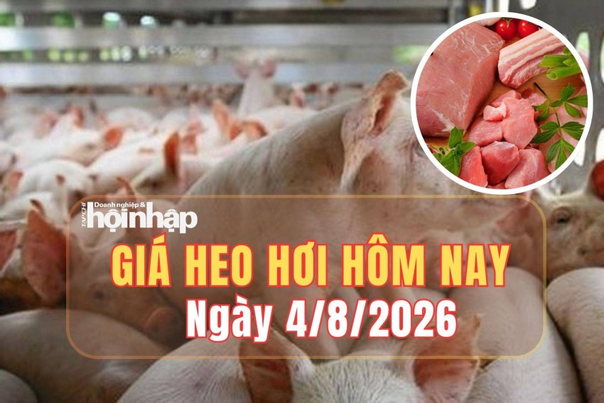 Giá heo hơi hôm nay 4/8/2026: Giá heo hơi tiếp tục giảm ở cả ba miền