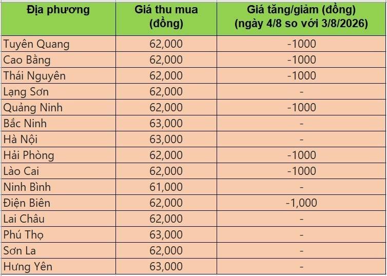 Bảng giá heo hơi tại miền Bắc hôm nay 4/8/2026