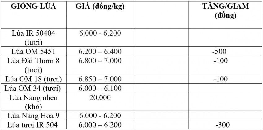 Bảng giá lúa hôm nay 4/8/2026