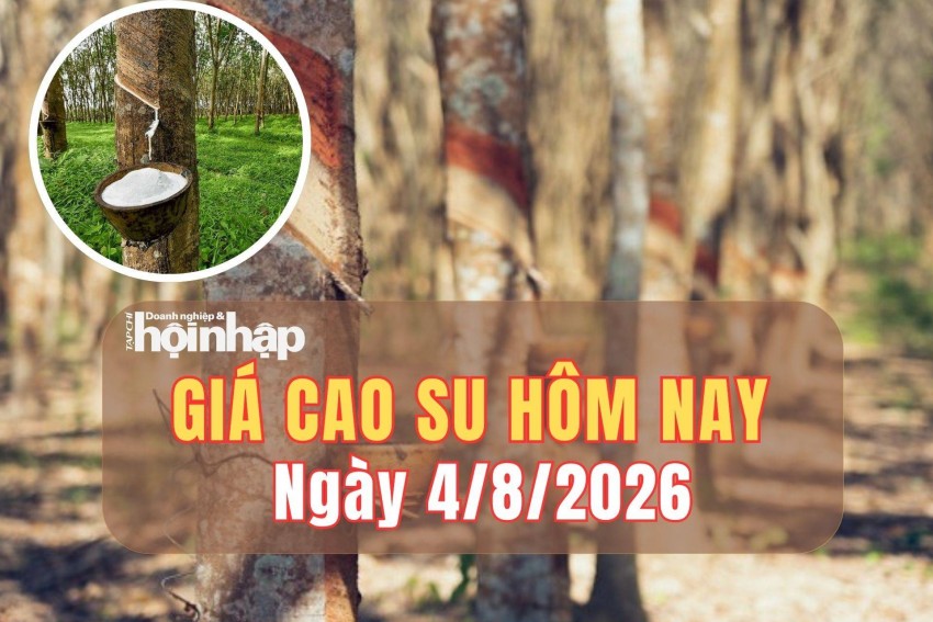 Giá cao su hôm nay 4/8/2026: Giá cao su trên sàn SHFE - Thượng Hải đồng loạt tăng