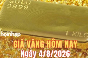 Giá vàng hôm nay 4/8/2026: Giá vàng đồng loạt giảm