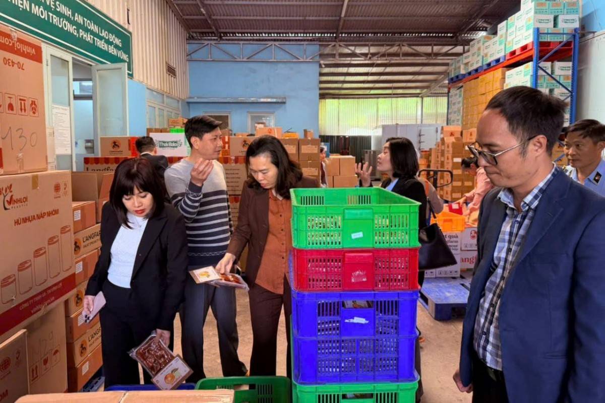 Lâm Đồng thành lập Ban Chỉ đạo liên ngành tổng rà soát, xử lý vi phạm về an toàn thực phẩm
