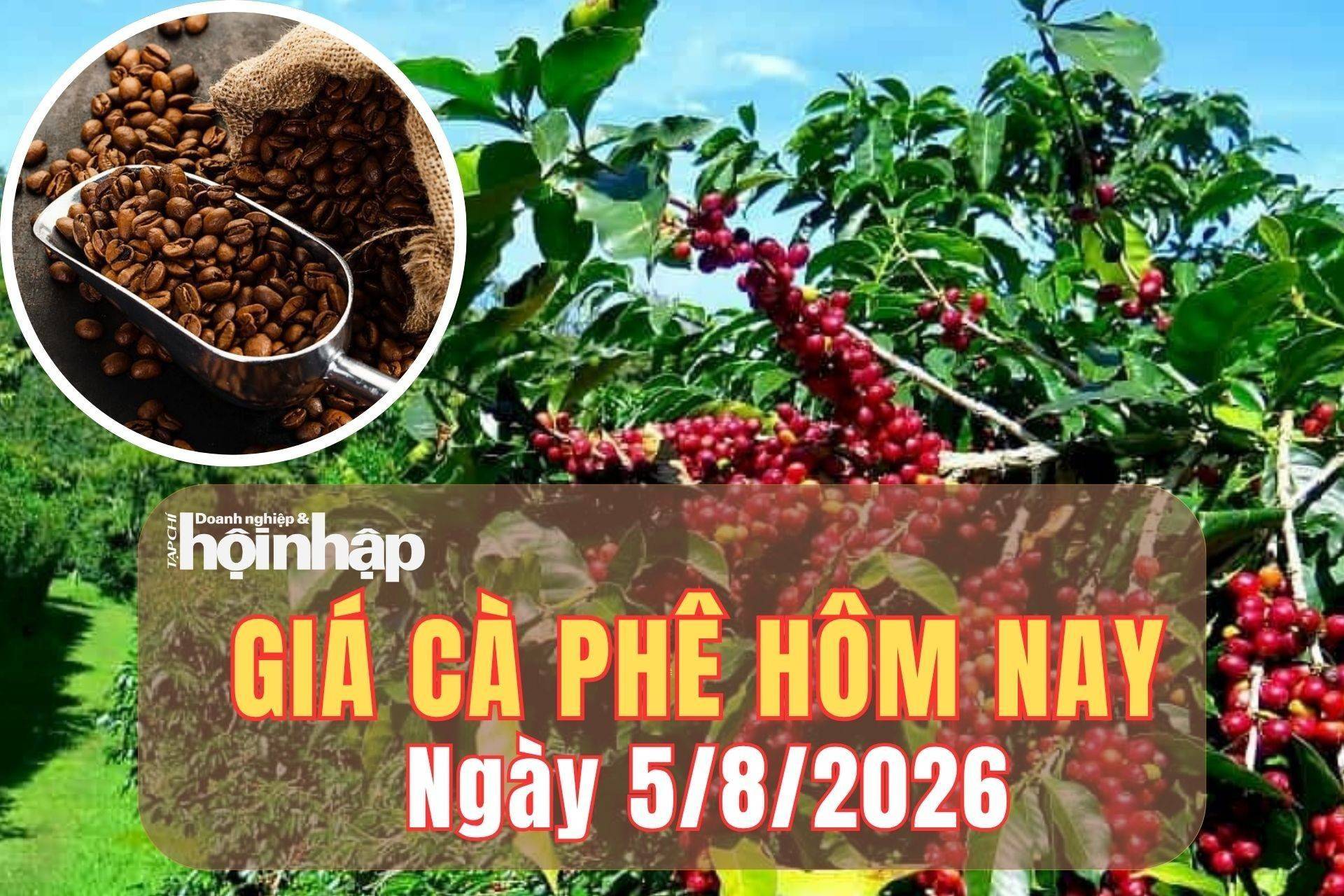 Giá cà phê hôm nay 5/8 /2026: Giá cà phê tại Đắk Nông giảm nhẹ, cà phê thế giới đồng loạt tăng