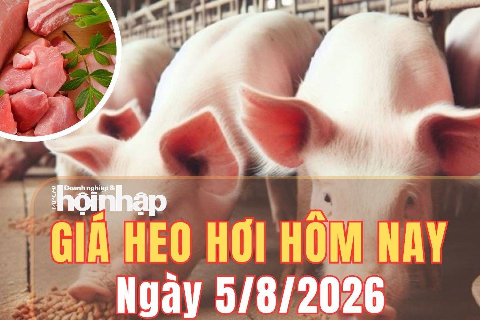 Giá heo hơi hôm nay 5/8/2026: Giá heo hơi tiếp đà giảm tại một số địa phương