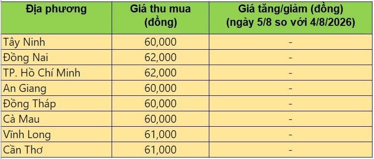 Bảng giá heo hơi tại miền Nam hôm nay 5/8/2026