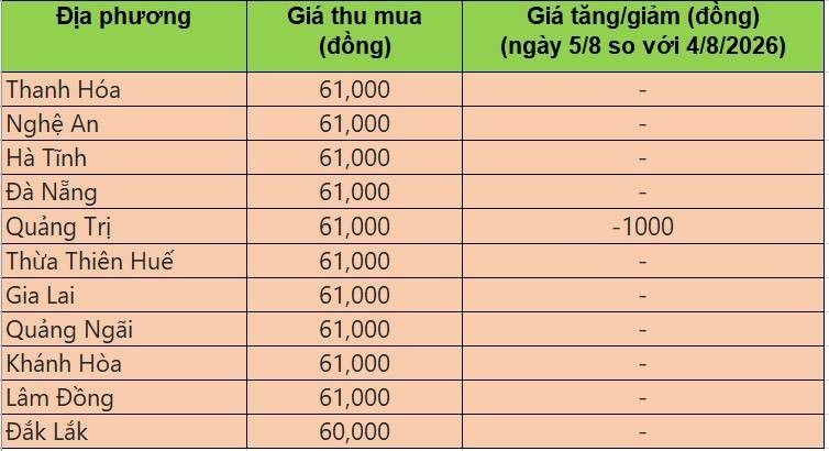Bảng giá heo hơi tại miền Trung - Tây Nguyên hôm nay 5/8/2026