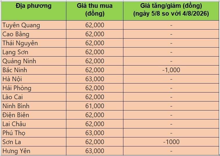 Bảng giá heo hơi tại miền Bắc hôm nay 5/8/2026