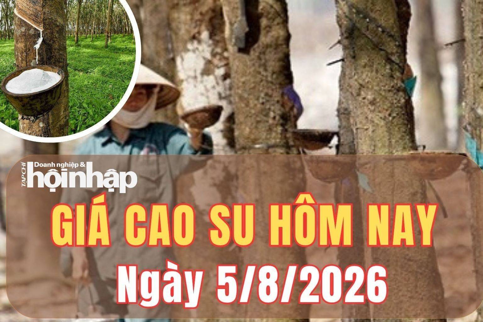 Giá cao su hôm nay 5/8/2026: Trong nước ổn định, thị trường thế giới giằng co trước áp lực cung cầu