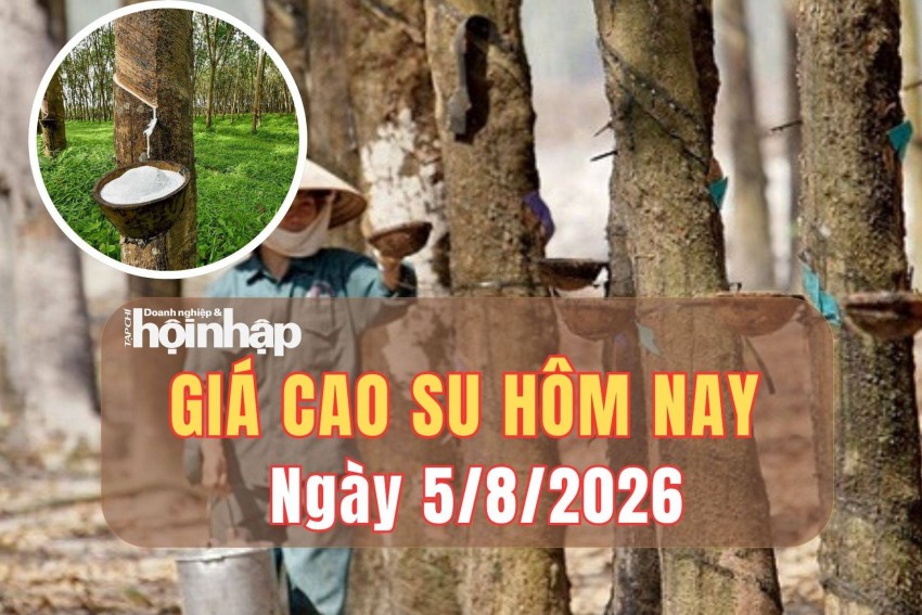 Giá cao su hôm nay 5/8/2026: Trong nước ổn định, thị trường thế giới giằng co trước áp lực cung cầu