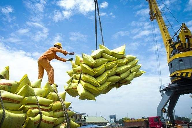 Xuất khẩu gạo: Doanh nghiệp kiến nghị nhiều giải pháp giữ vững đà tăng trưởng