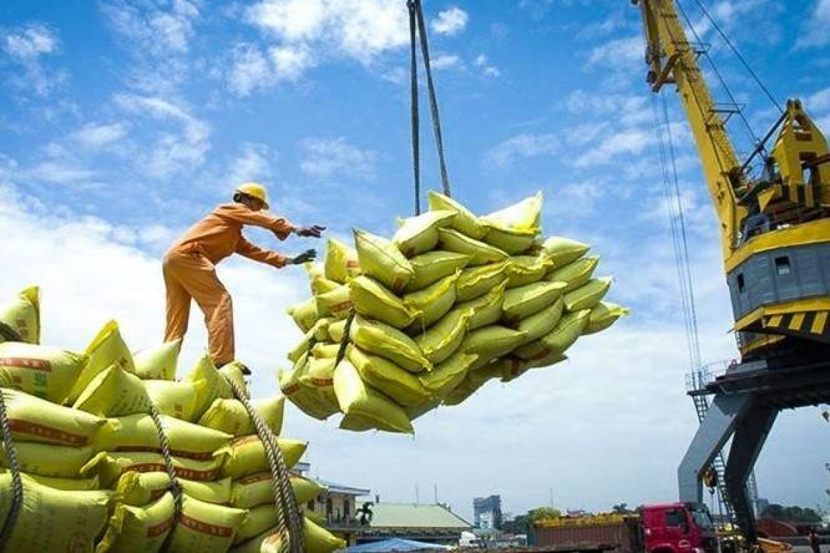 Doanh nghiệp kiến nghị giải pháp duy trì đà tăng trưởng xuất khẩu gạo