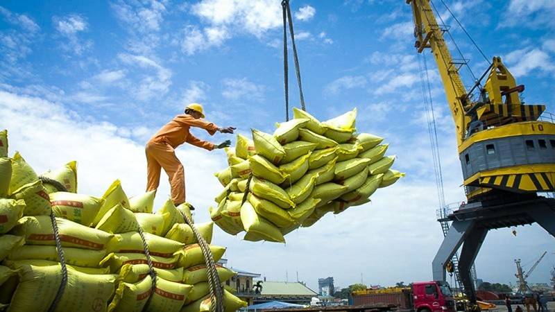 Xuất khẩu gạo: Doanh nghiệp kiến nghị nhiều giải pháp giữ vững đà tăng trưởng