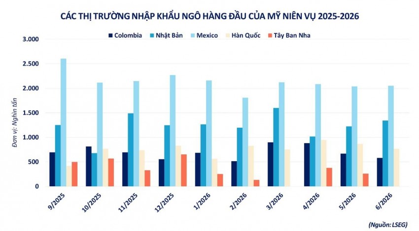 Giá ngô CBOT giảm mạnh, Mỹ đối mặt nguy cơ mất 10 triệu tấn nhu cầu