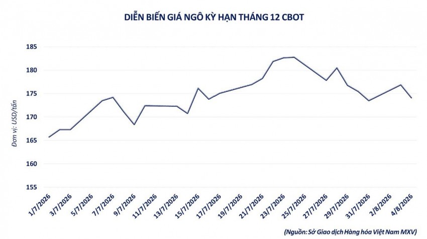 Giá ngô CBOT giảm mạnh, Mỹ đối mặt nguy cơ mất 10 triệu tấn nhu cầu