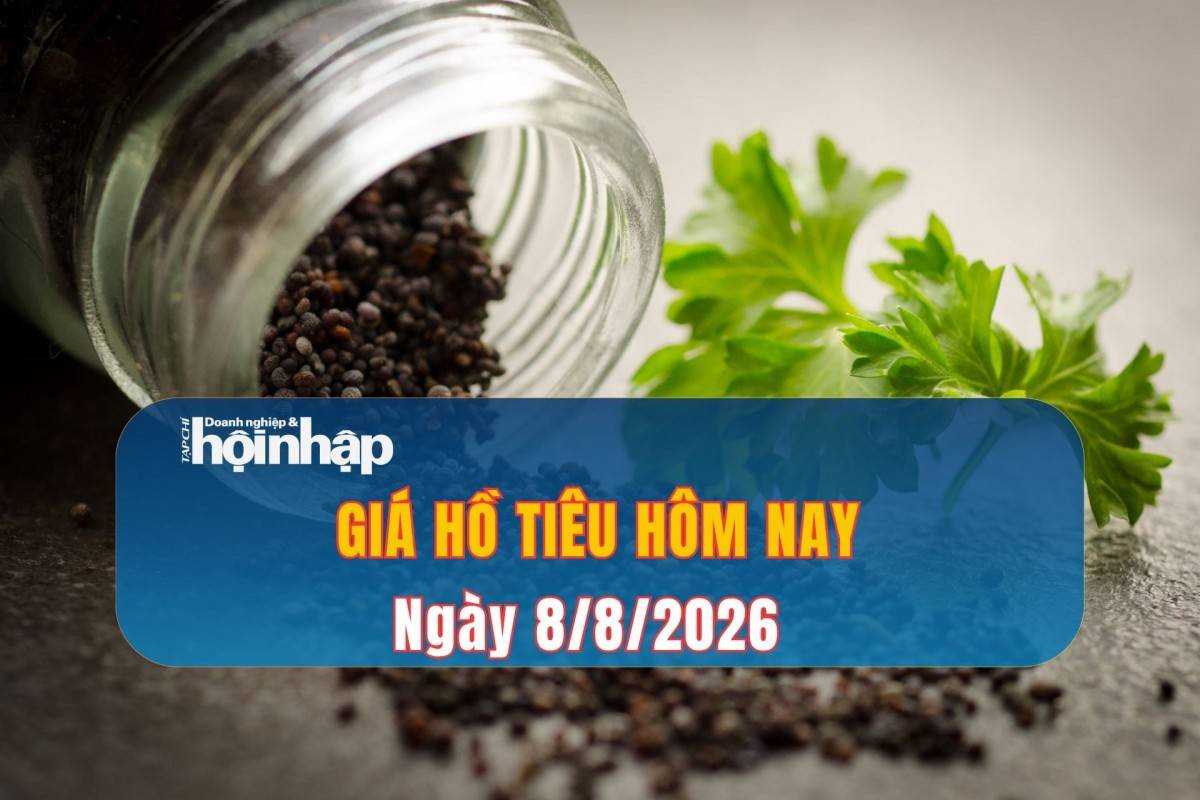Giá tiêu hôm nay 7/8/2026: Tiêu trong nước tiếp tục đi ngang
