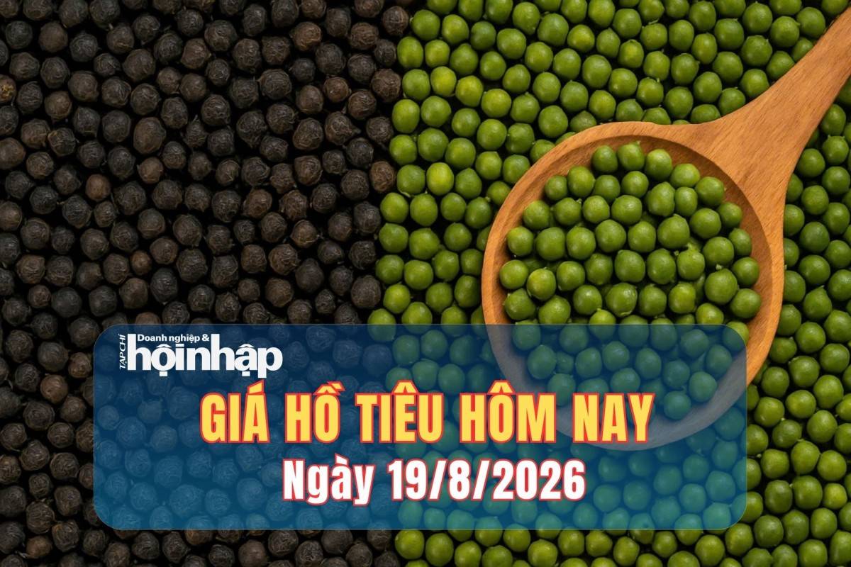 Giá tiêu hôm nay 18/8/2026: Tiêu trong nước đi ngang lo ngại thời tiết đe dọa nguồn cung