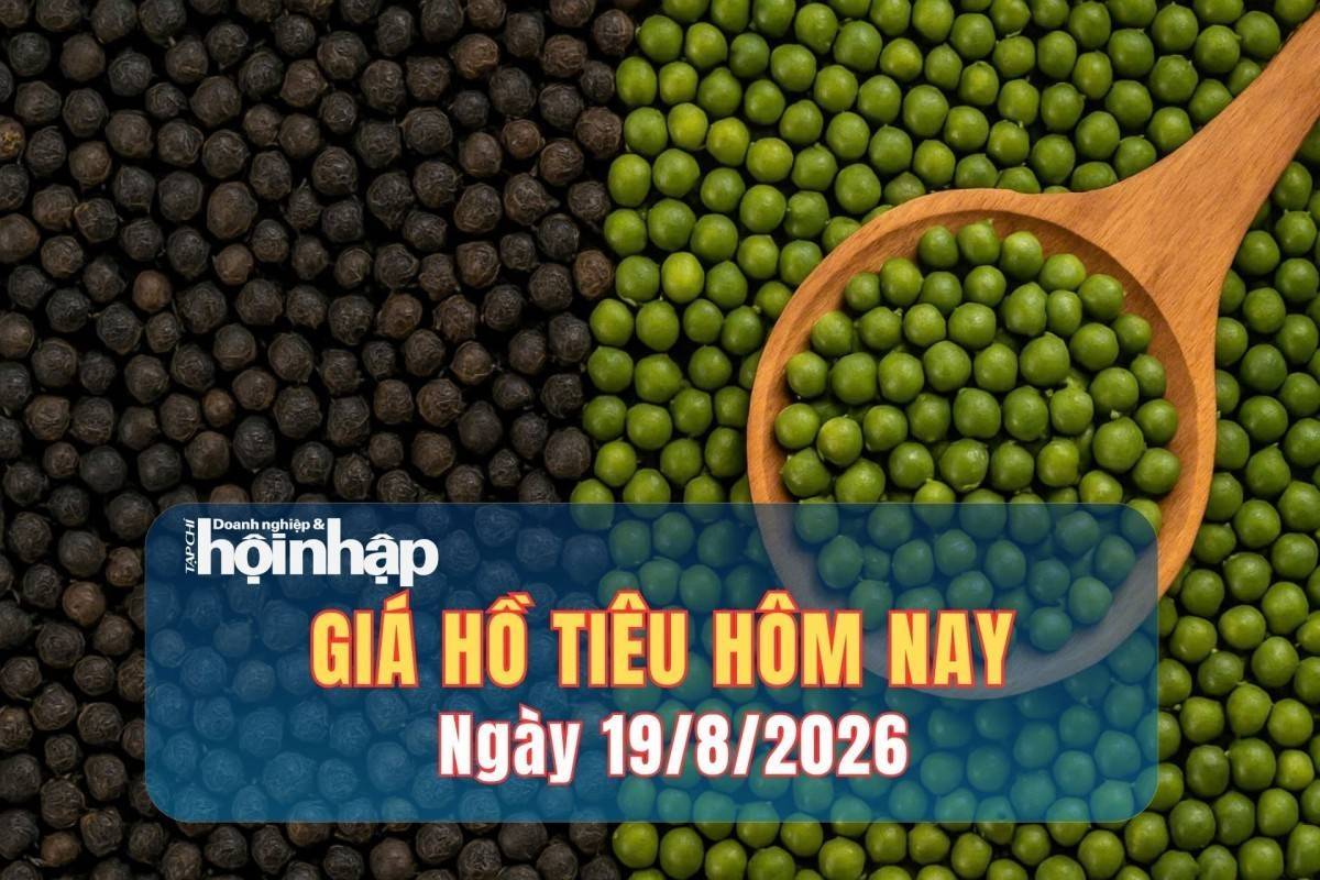 Giá tiêu hôm nay 19/8/2026: Thị trường trong nước tiếp tục đi ngang, xuất khẩu sang Trung Quốc tăng hơn 200%