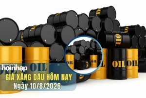Giá xăng dầu hôm nay 10/8/2026: Giá dầu tăng do căng thẳng eo biển Hormuz