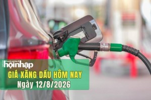 Giá xăng dầu hôm nay 12/8/2026: Dầu thô lập đỉnh một tuần vì rủi ro nguồn cung