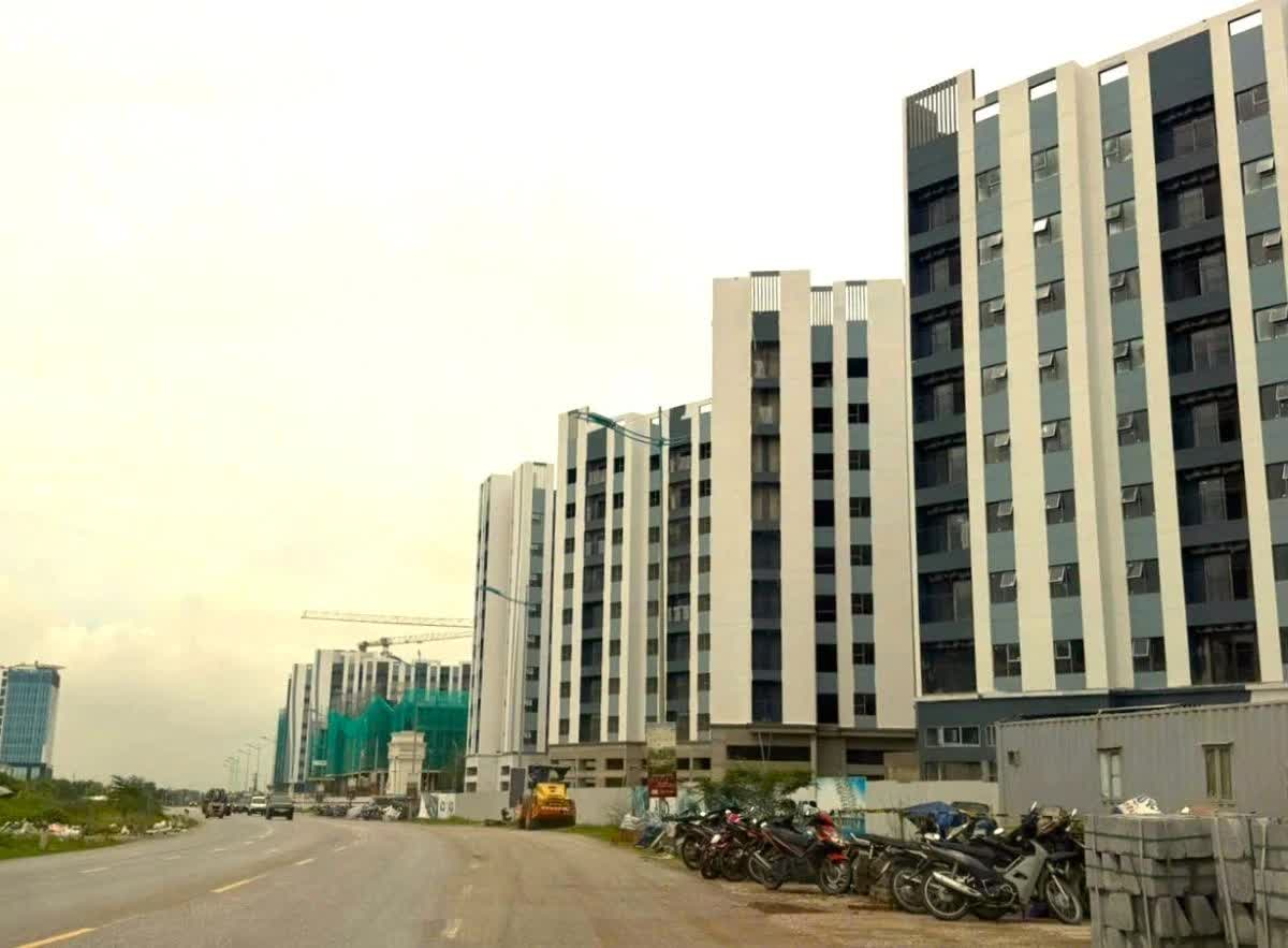 Thanh Hóa: Kiểm tra toàn diện 22 dự án nhà ở xã hội trên địa bàn tỉnh