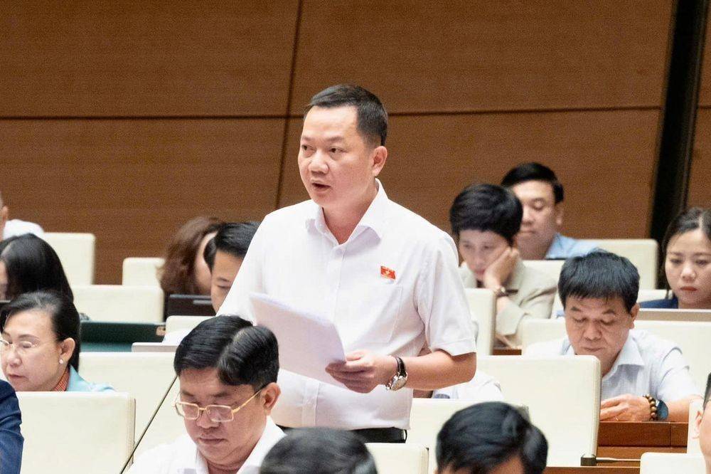 ĐBQH đề xuất đưa kinh doanh kim cương vào ngành nghề kinh doanh có điều kiện