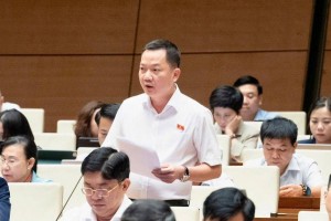 ĐBQH đề xuất đưa kinh doanh kim cương vào ngành nghề kinh doanh có điều kiện