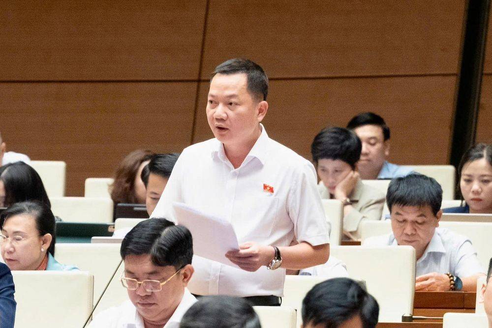 ĐBQH đề xuất đưa kinh doanh kim cương vào ngành nghề kinh doanh có điều kiện