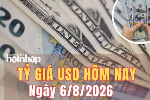 Tỷ giá USD hôm nay 6/8/2026: Đồng USD thế giới vẫn chịu áp lực giảm