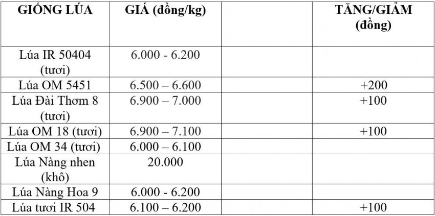 Bảng giá lúa hôm nay 6/8/2026
