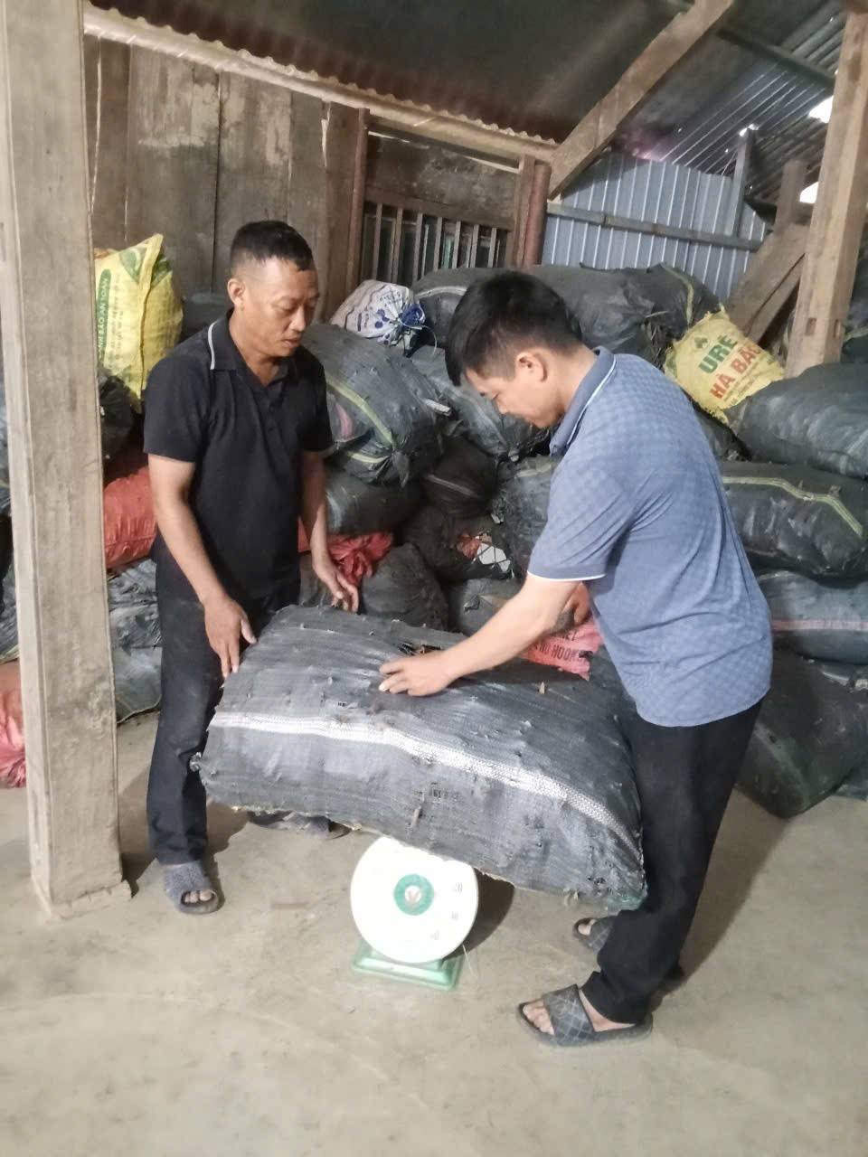 Anh Triệu Văn Phấy, Giám đốc Công ty TNHH MTV Phấy Sính thôn Khe Đâm trực tiếp lựa chọn thu mua quế vỏ 