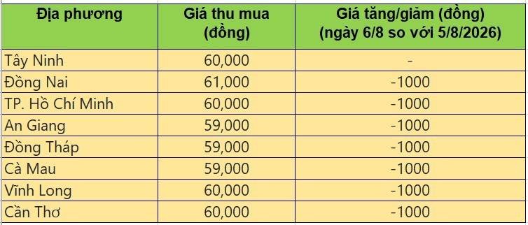 Bảng giá heo hơi tại miền Nam hôm nay 6/8/2026
