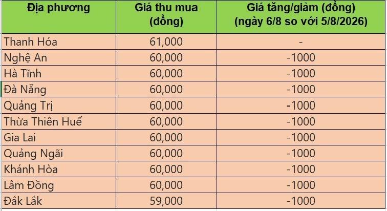 Bảng giá heo hơi tại miền Trung - Tây Nguyên hôm nay 6/8/2026