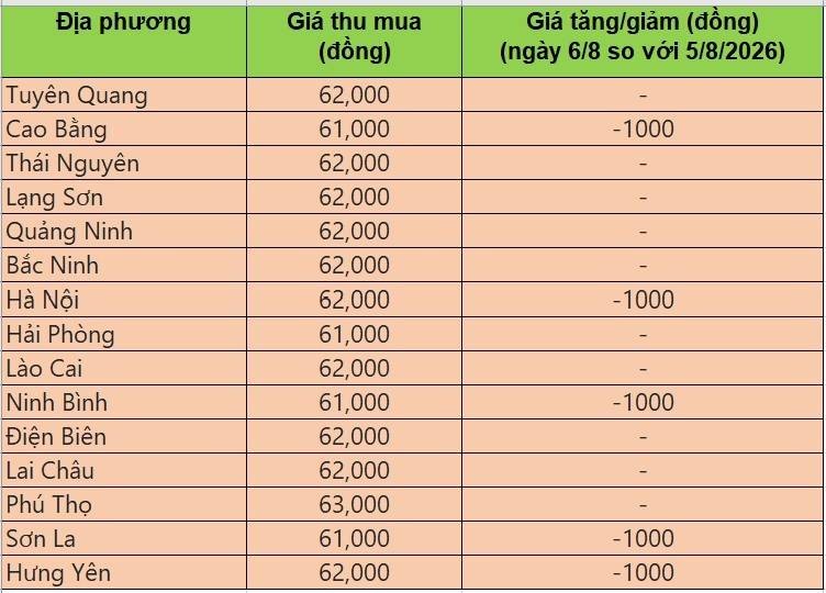 Bảng giá heo hơi tại miền Bắc hôm nay 6/8/2026