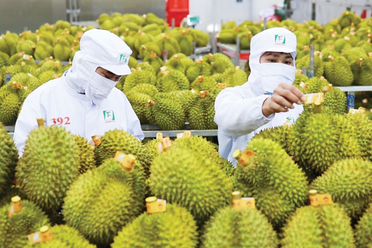 Xuất khẩu rau quả Việt tăng tốc tại thị trường Trung Quốc