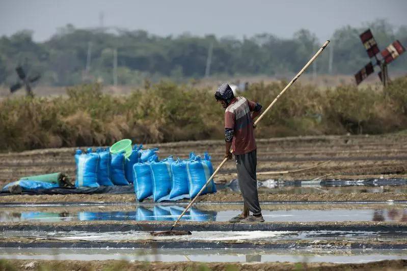El Niño ở Indonesia: Nông dân mất mùa, diêm dân trúng đậm