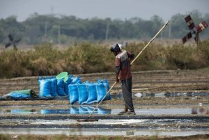El Niño ở Indonesia: Nông dân mất mùa, diêm dân trúng đậm