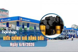 Giá xăng dầu chiều ngày 6/8/2026: Giá xăng, dầu trong nước đồng loạt giảm
