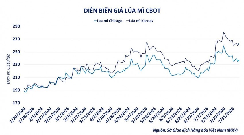 Giá lúa mì phục hồi do rủi ro Biển Đen và thời tiết