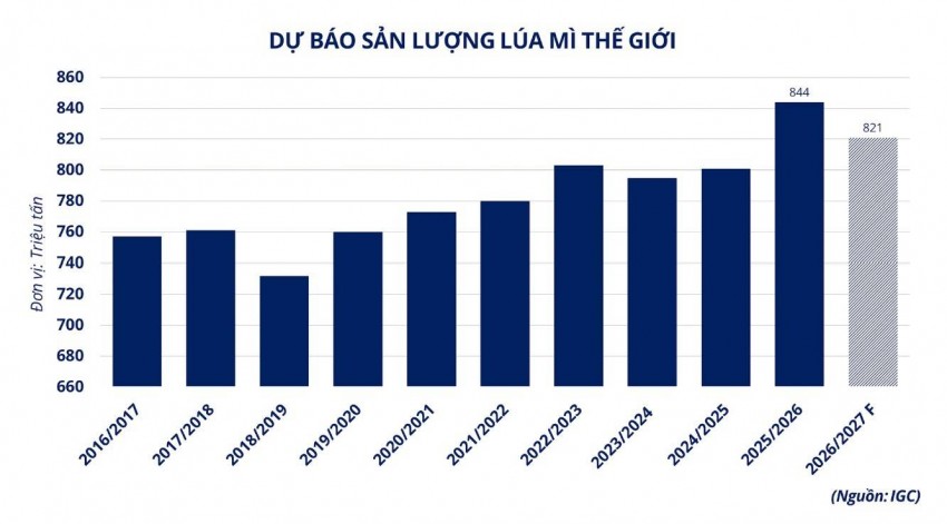 Giá lúa mì phục hồi do rủi ro Biển Đen và thời tiết