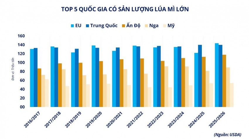 Giá lúa mì phục hồi do rủi ro Biển Đen và thời tiết