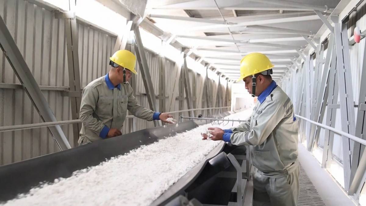 Lâm Đồng: Công nghiệp chế biến và đầu tư công tiếp tục dẫn dắt tăng trưởng kinh tế 7 tháng đầu năm 2026