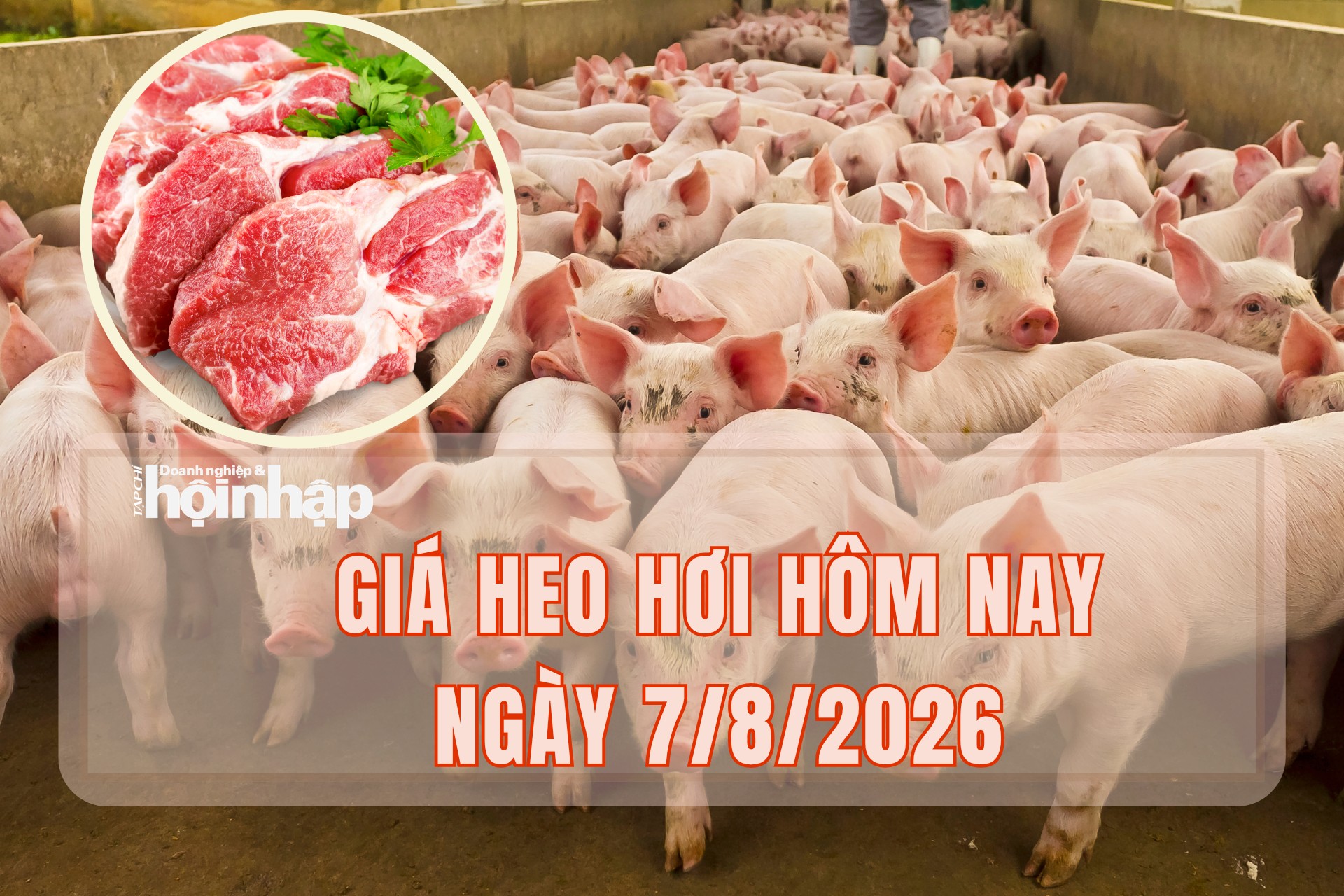 Giá heo hơi hôm nay 7/8/2026: Nhiều địa phương duy trì mức giá dưới 60.000 đồng/kg