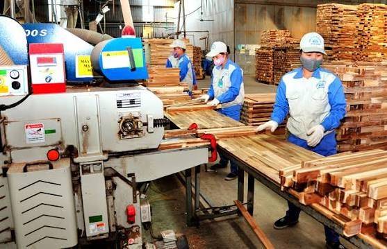 Năm 2025, kim ngạch xuất khẩu gỗ và sản phẩm gỗ đạt khoảng 17,3 tỷ USD; sản phẩm đã có mặt tại hơn 160 quốc gia và vùng lãnh thổ, đáp ứng các tiêu chuẩn khắt khe của nhiều thị trường lớn như Hoa Kỳ, Liên minh châu Âu (EU) và Nhật Bản.